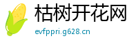 枯树开花网